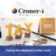 Croner-i: taxing the elephant in the room