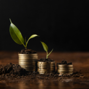 Employers paye disputed charges: changes to process | employers paye disputed charge
