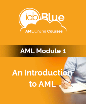 An introduction to aml